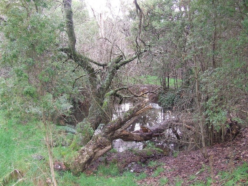 75 Little Village Lane, Somerset TAS 7322