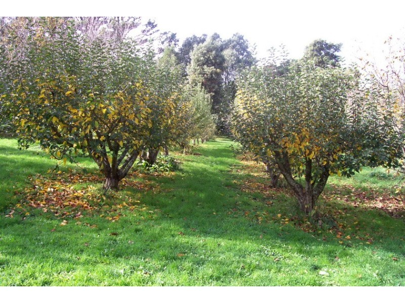 75 Little Village Lane, Somerset TAS 7322