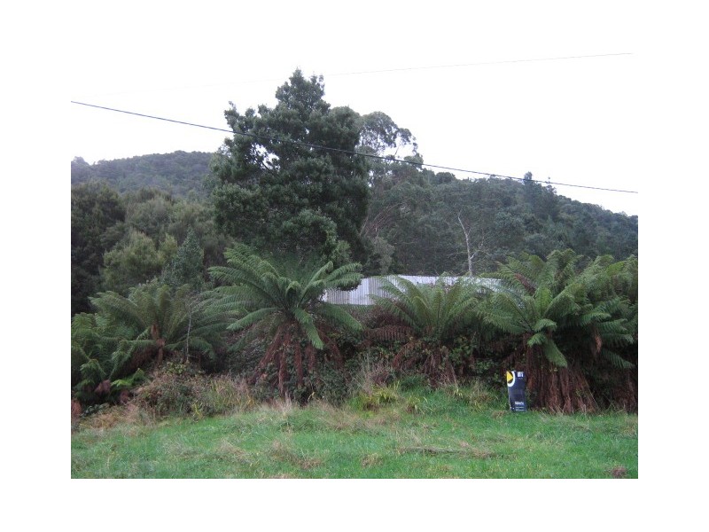 16 Henry Street, Queenstown TAS 7467