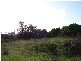 Horace Street, King Island TAS 7256