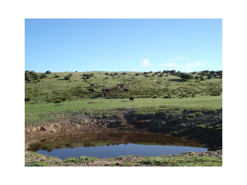 King Island TAS 7256