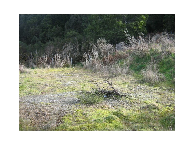 28 Smith Street, Zeehan TAS 7469