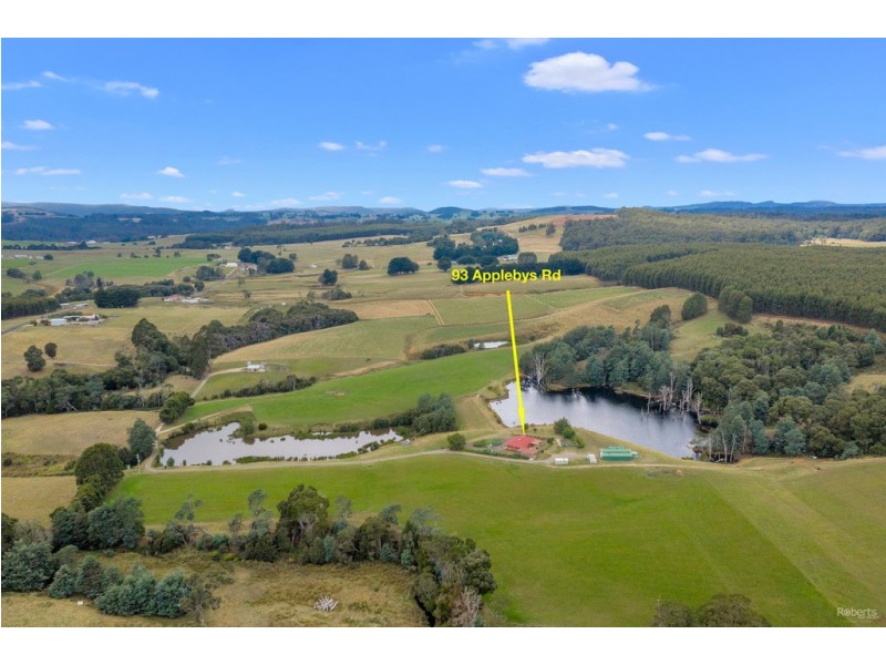 93 Applebys Road, Upper Natone TAS 7321