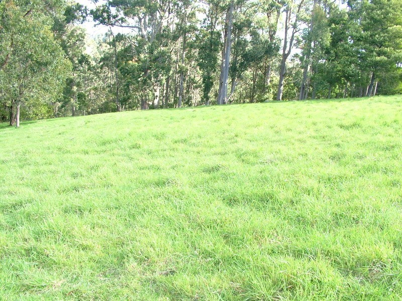 569 Minna Road, Burnie TAS 7320