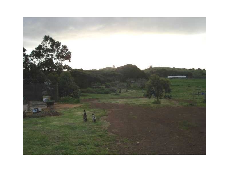 55-57 Main Street, Currie, King Island TAS 7256