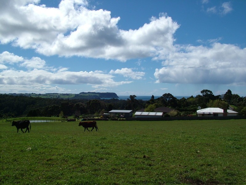 464 Mount Hicks ROad, Wynyard TAS 7325