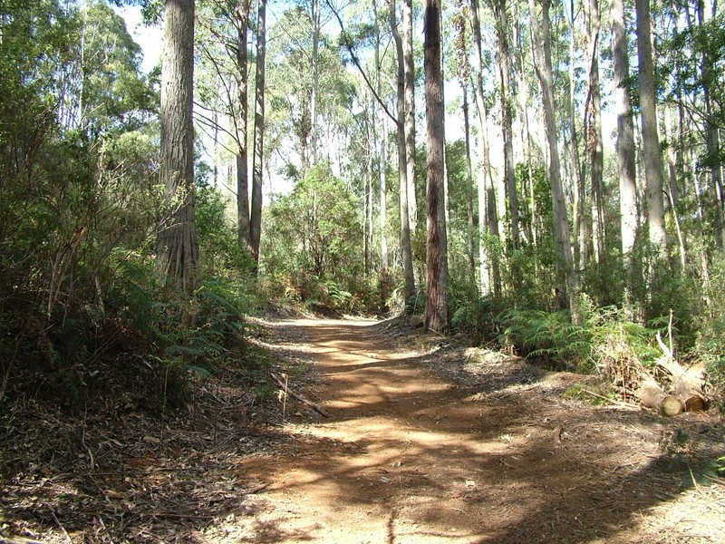 Lot 2 Back Cam Road, Somerset TAS 7322