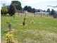 13 Collins Street, Waratah TAS 7321