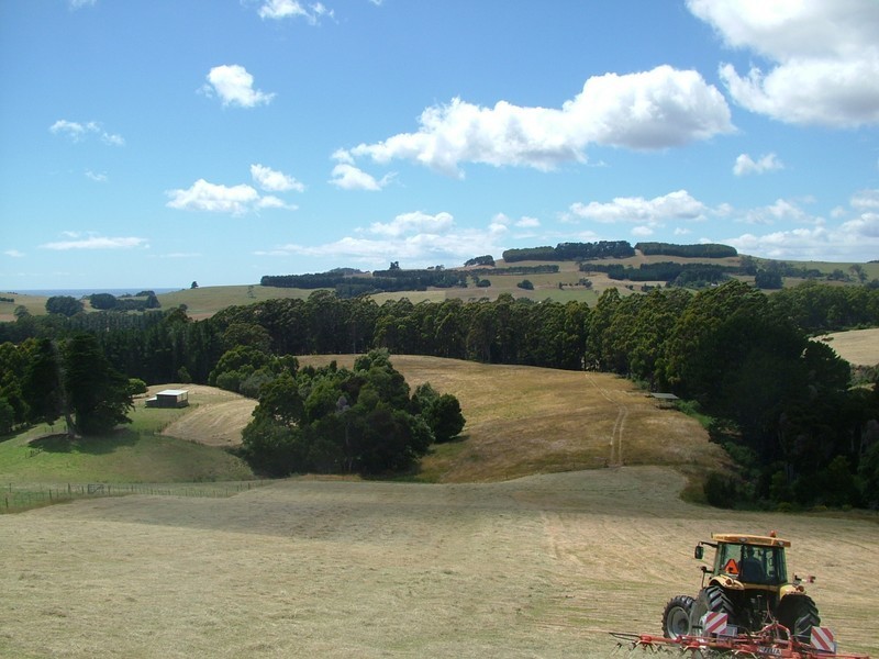 387 Mount Hicks Road, Wynyard TAS 7325