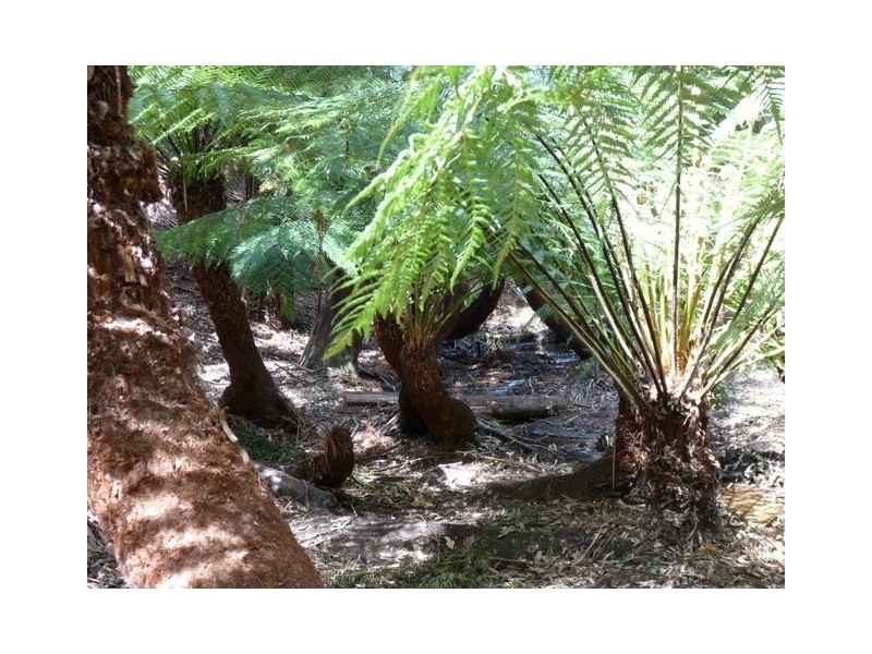 387 Mount Hicks Road, Wynyard TAS 7325