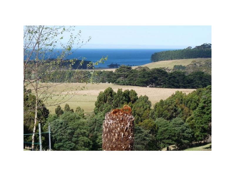 387 Mount Hicks Road, Wynyard TAS 7325