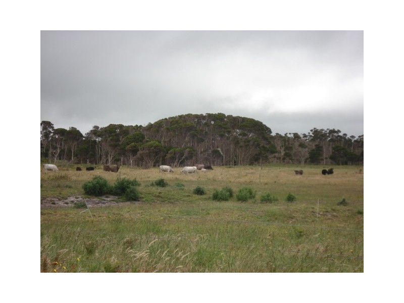 29 Snodgrass Lane, Loorana, King Island TAS 7256