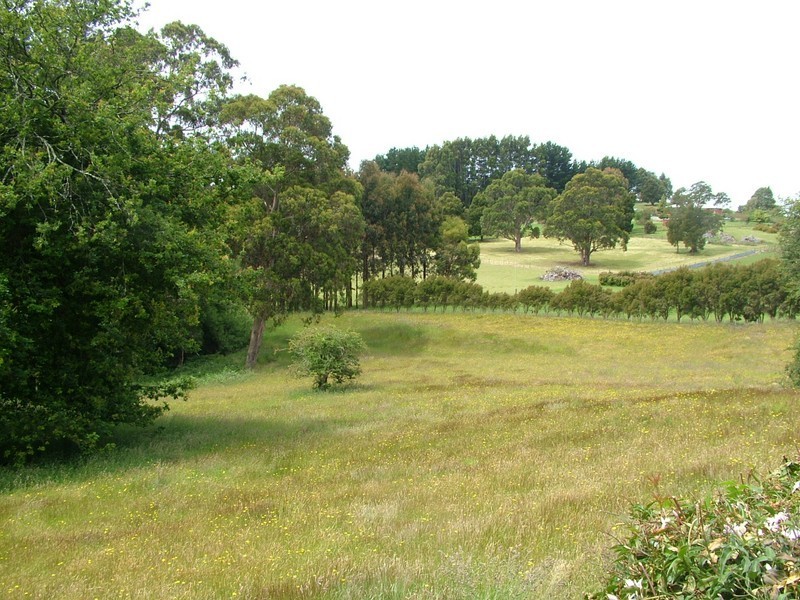 12 Shepperds Lane, Elliott TAS 7325