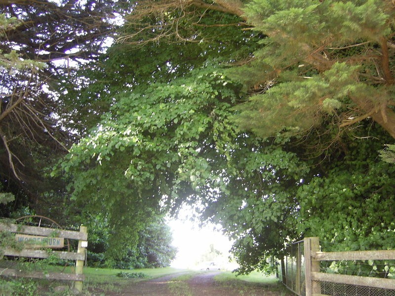 12 Shepperds Lane, Elliott TAS 7325