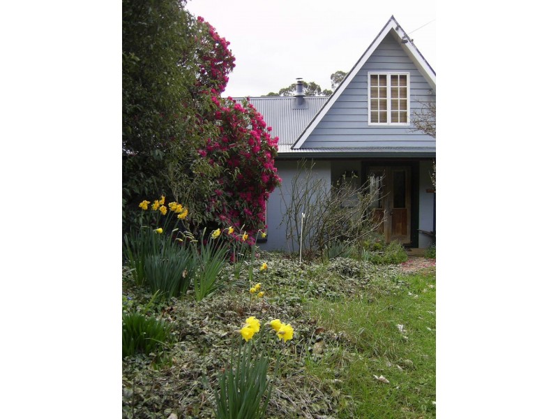 12 Shepperds Lane, Elliott TAS 7325