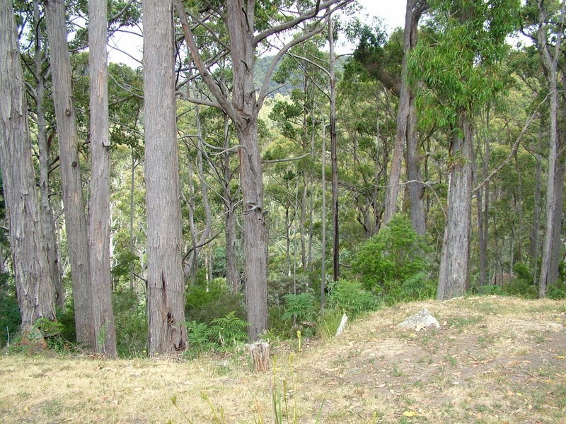 20 Alberts Road, Somerset TAS 7322