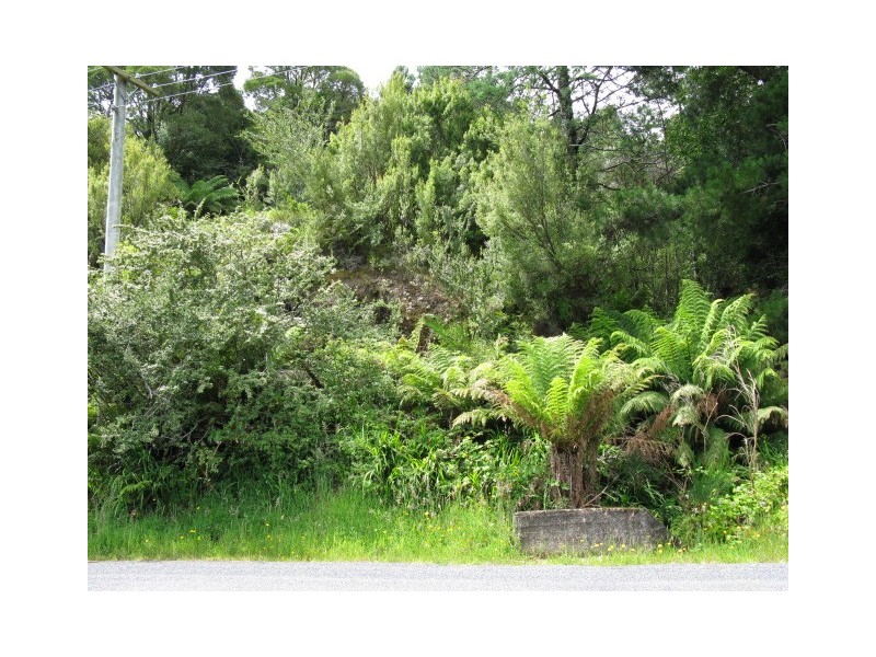 5 Jenico Street, Queenstown TAS 7467