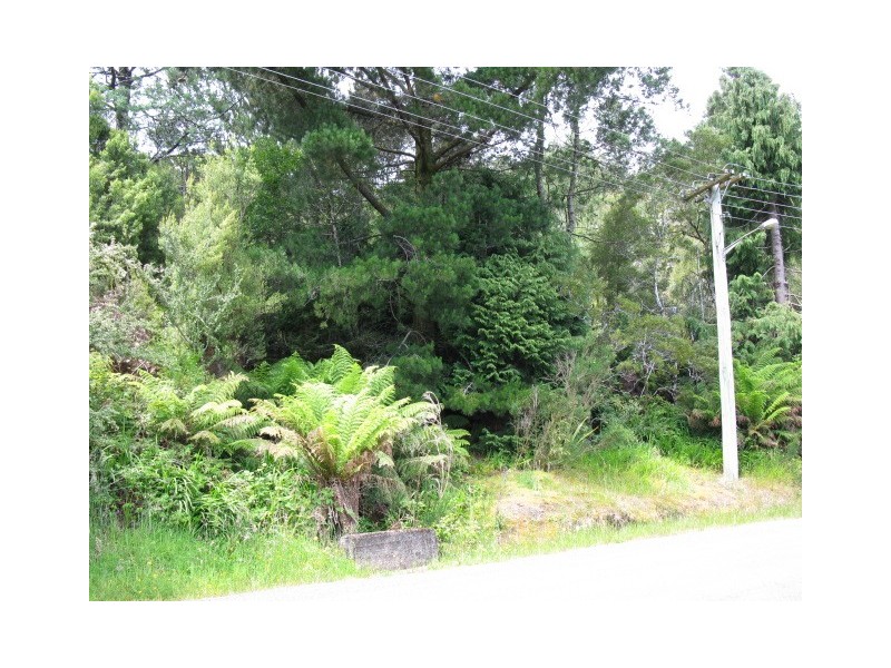 5 Jenico Street, Queenstown TAS 7467