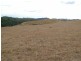 249 Camena Road, Natone TAS 7321