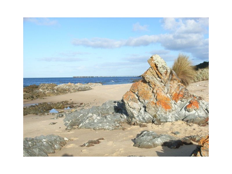 129 The Esplanade, Naracoopa, King Island TAS 7256