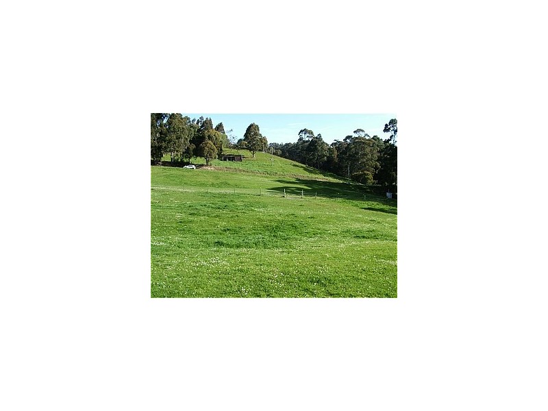 4 Lottah Road, Natone TAS 7321