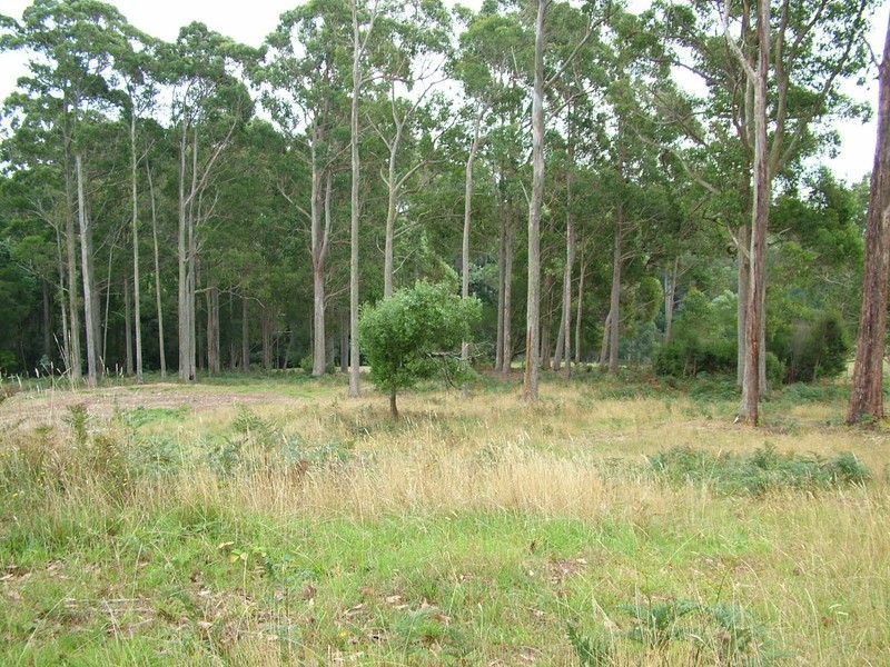 38 Upper Natone Road, Natone TAS 7321