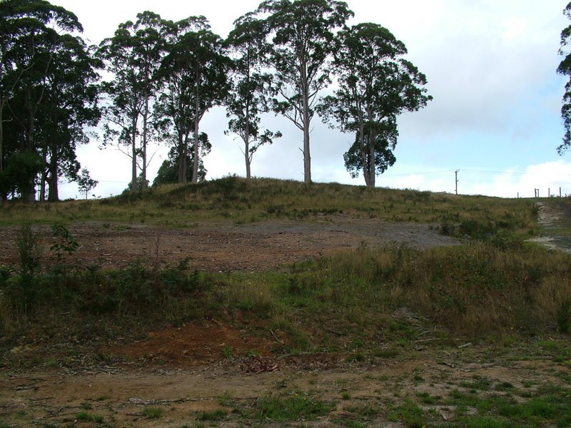 38 Upper Natone Road, Natone TAS 7321