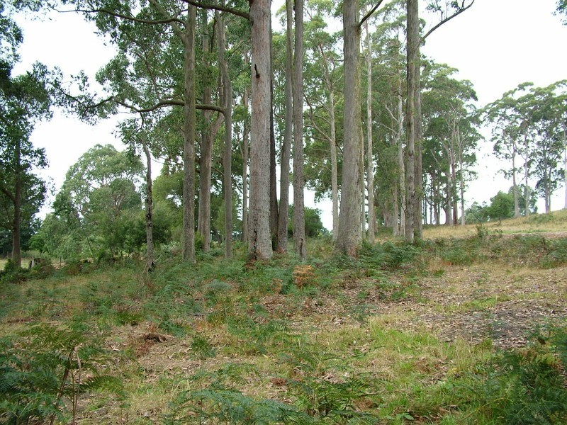 38 Upper Natone Road, Natone TAS 7321