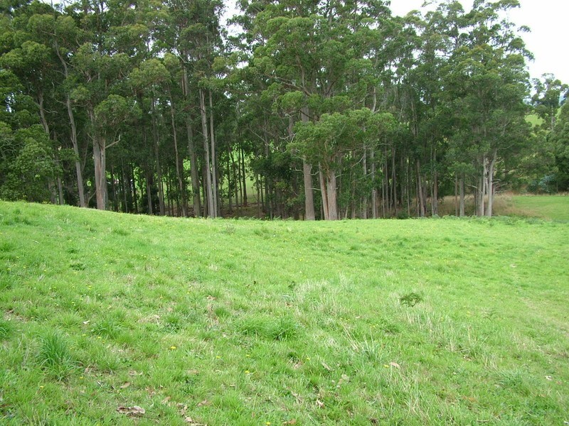 21 Upper Natone Road, Natone TAS 7321