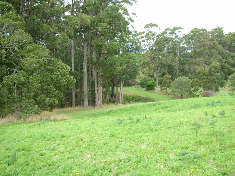 21 Upper Natone Road, Natone TAS 7321