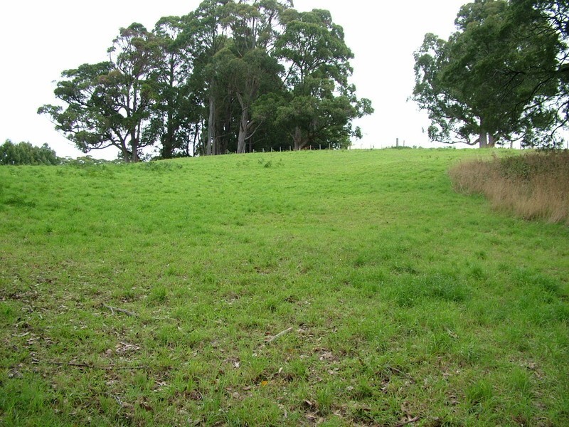 21 Upper Natone Road, Natone TAS 7321
