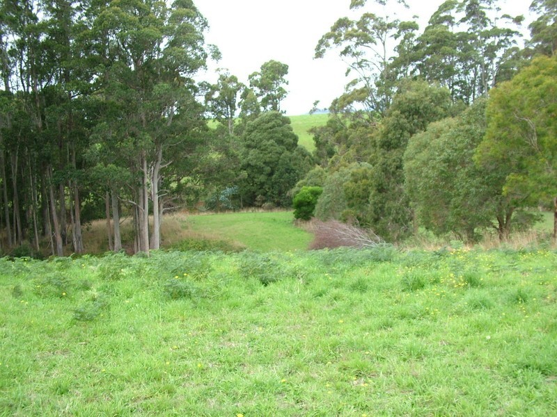 21 Upper Natone Road, Natone TAS 7321