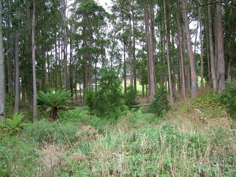 21 Upper Natone Road, Natone TAS 7321