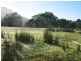 Peters Street,, Gormanston TAS 7466