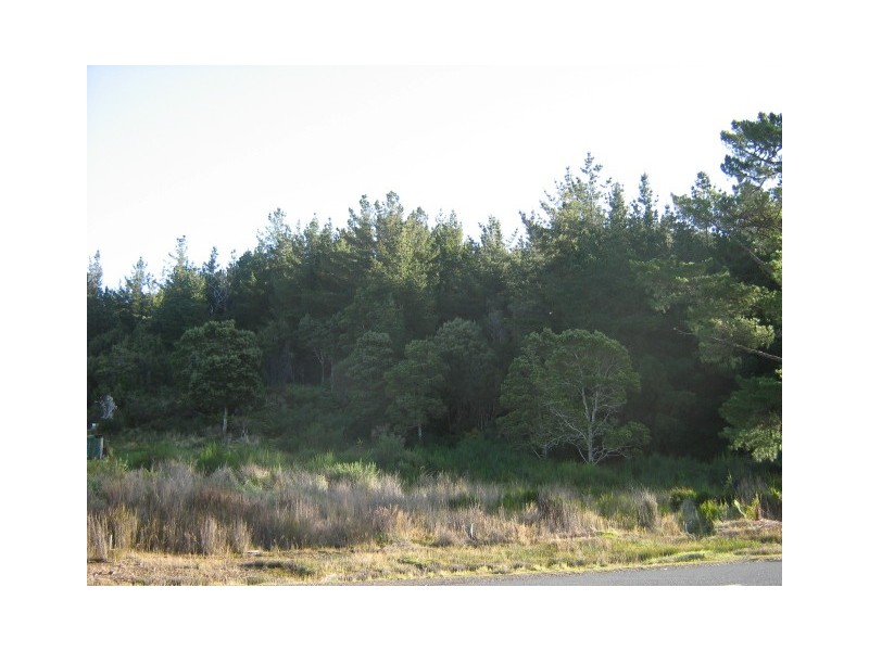 Heemskirk Road,, Zeehan TAS 7469