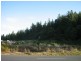 Heemskirk Road,, Zeehan TAS 7469