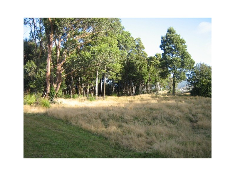Runcorn Street,, Zeehan TAS 7469