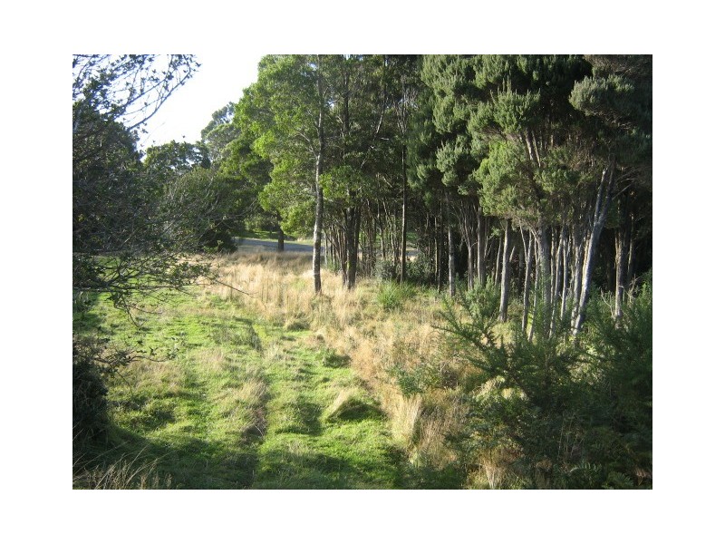 Runcorn Street,, Zeehan TAS 7469