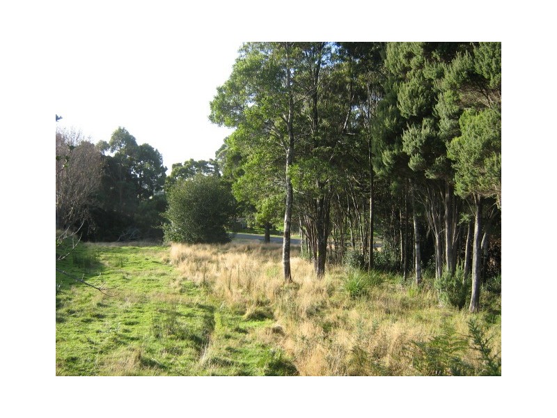 Runcorn Street,, Zeehan TAS 7469