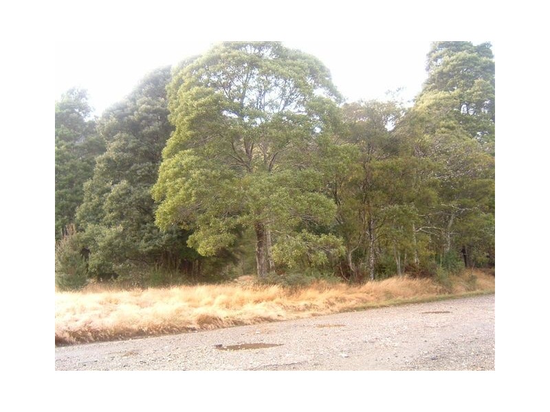 Hean Street, Tullah TAS 7321