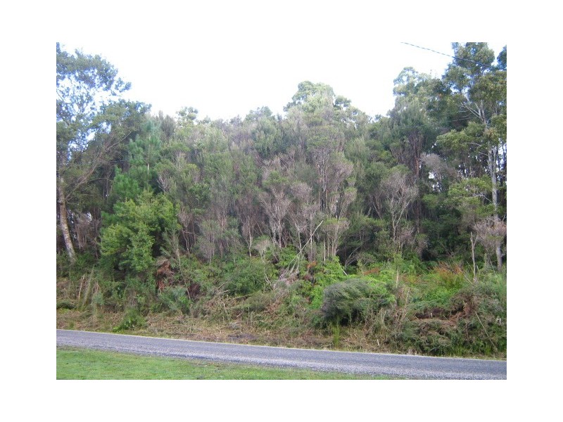 Featherstone Street, Strahan TAS 7468