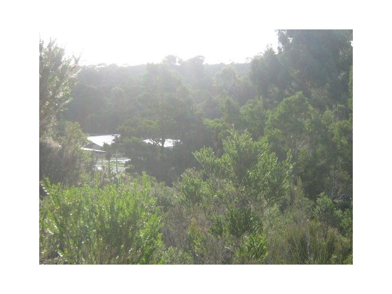 Featherstone Street, Strahan TAS 7468