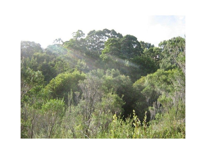 Featherstone Street, Strahan TAS 7468