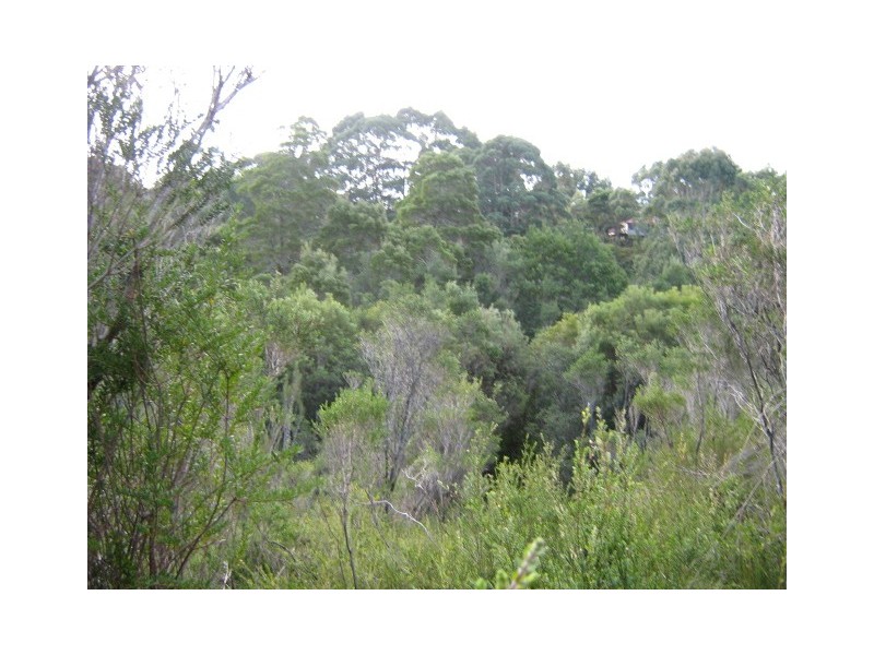 Featherstone Street, Strahan TAS 7468
