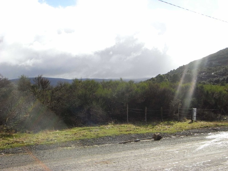 Cnr Kayser and Vincent Sts, Waratah TAS 7321