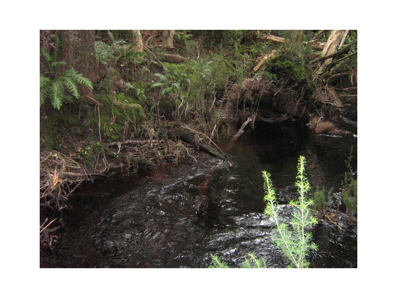 Henty Road,, Zeehan TAS 7469