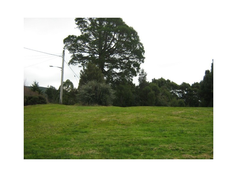 115 Smith Street, Zeehan TAS 7469