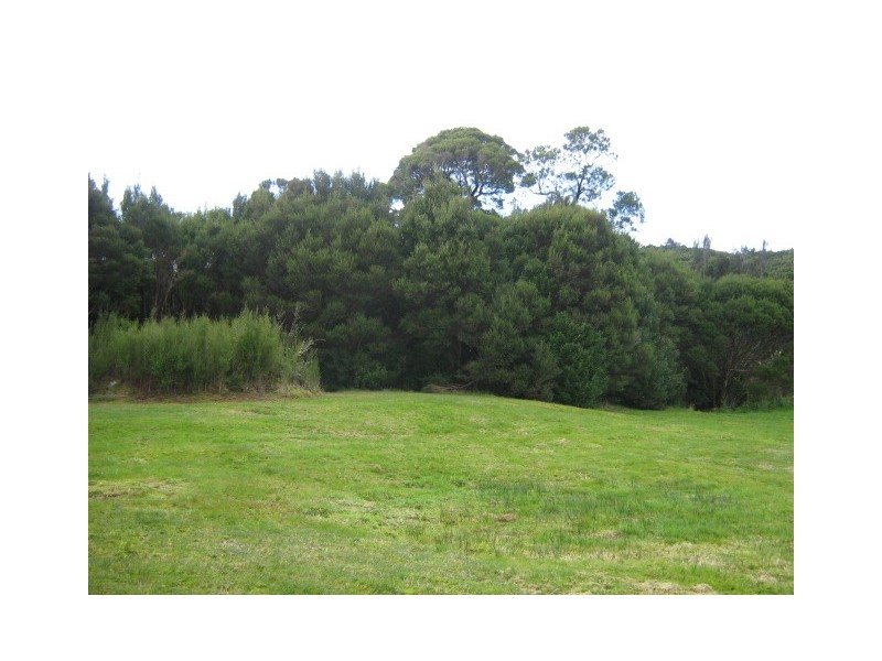 115 Smith Street, Zeehan TAS 7469