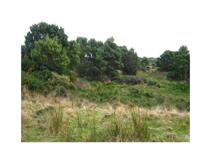 Runcorn Street, Zeehan TAS 7469