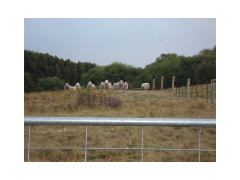 . South Road, King Island TAS 7256